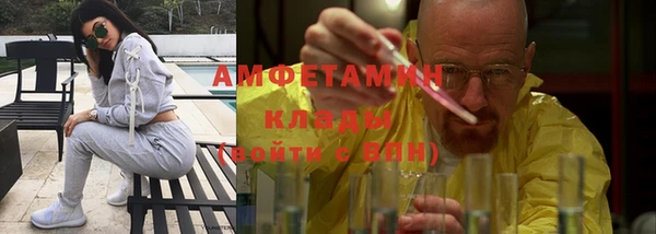 гидра Новозыбков