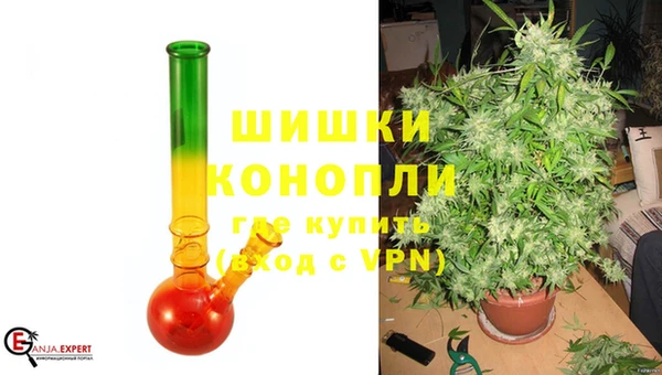гидра Новозыбков