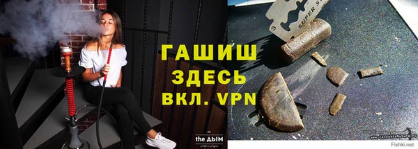 гидра Новозыбков