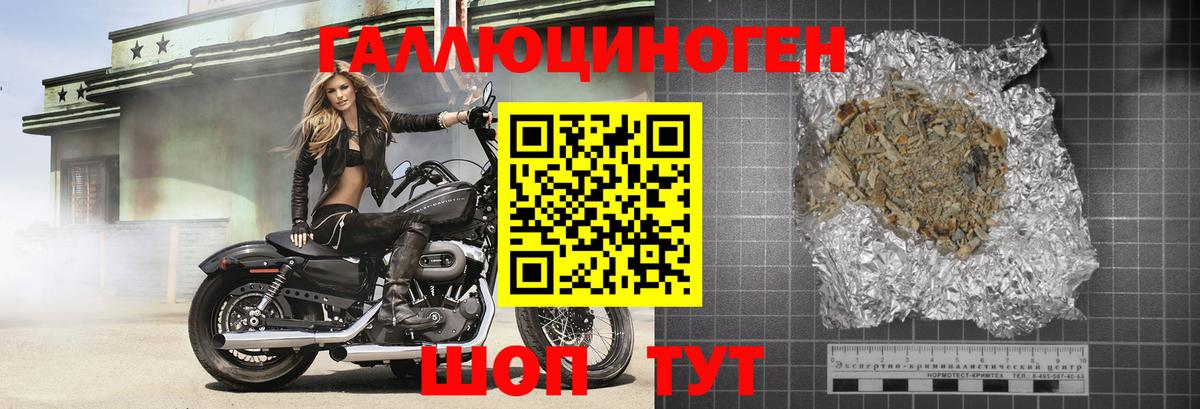 Псилоцибиновые грибы Psilocybine cubensis  Псилоцибиновые грибы мицелий  Сатка 